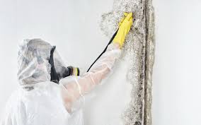 Best Post-Construction Mold Inspection  in Clear Lake, WI